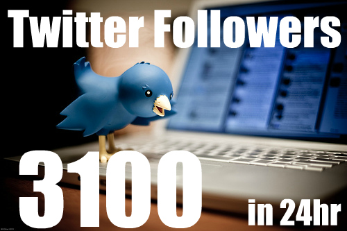 Get You 3100+ Real Looking TWITTER Followers in Less Then 24hr NO Need for Pass