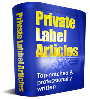 Give you 150K+++ PLR Articles (variety of niches)