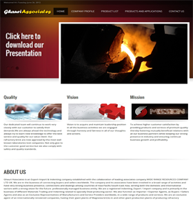 design a beautiful and professional website for your business