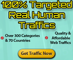 1500 Real Human Targeted Adult Website Traffic