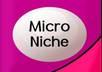 give you two micro niche keywords with 1500+ US exact Search and low competition
