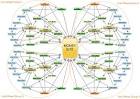 ★create 10 times better links than other SeNuke X gigs as I am SeNuke Expert and will give a fantastic report★