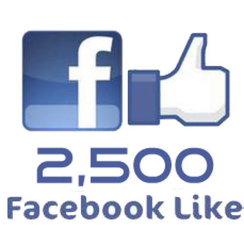 2500 Real-looking Facebook Page Likes Delivery