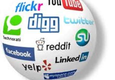 make backlinks pyramid of over 300 PR4+ tier1 social media, profiles and 5000 blog comments tier2 and lindexed ping submission only