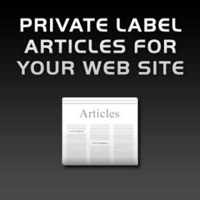 Give You 100 PLR Ebooks With PSD Images Squeez Pages