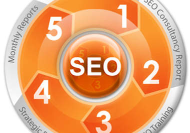 set up you a complete link building campaign for your website thus getting faster rise in the search engines 