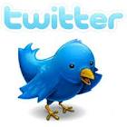 give you 500 real twitter followers
