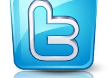 give you 30000+ real looking twitter follower in just 12 hours 