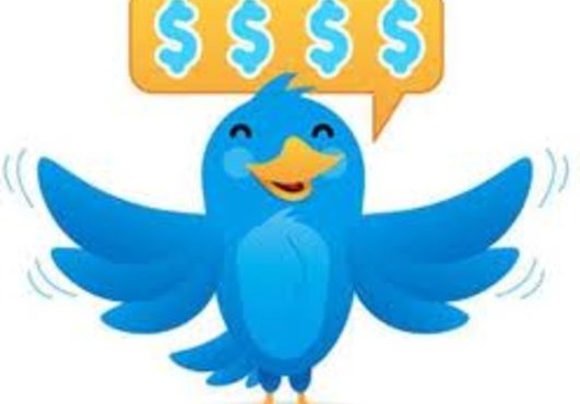 get you 45000 real TWITTER followers in less then 6 hours with out the need of your user name and pass