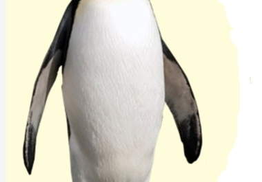 help you beat the Penguin update with 30 contextual high pr web 2 links 