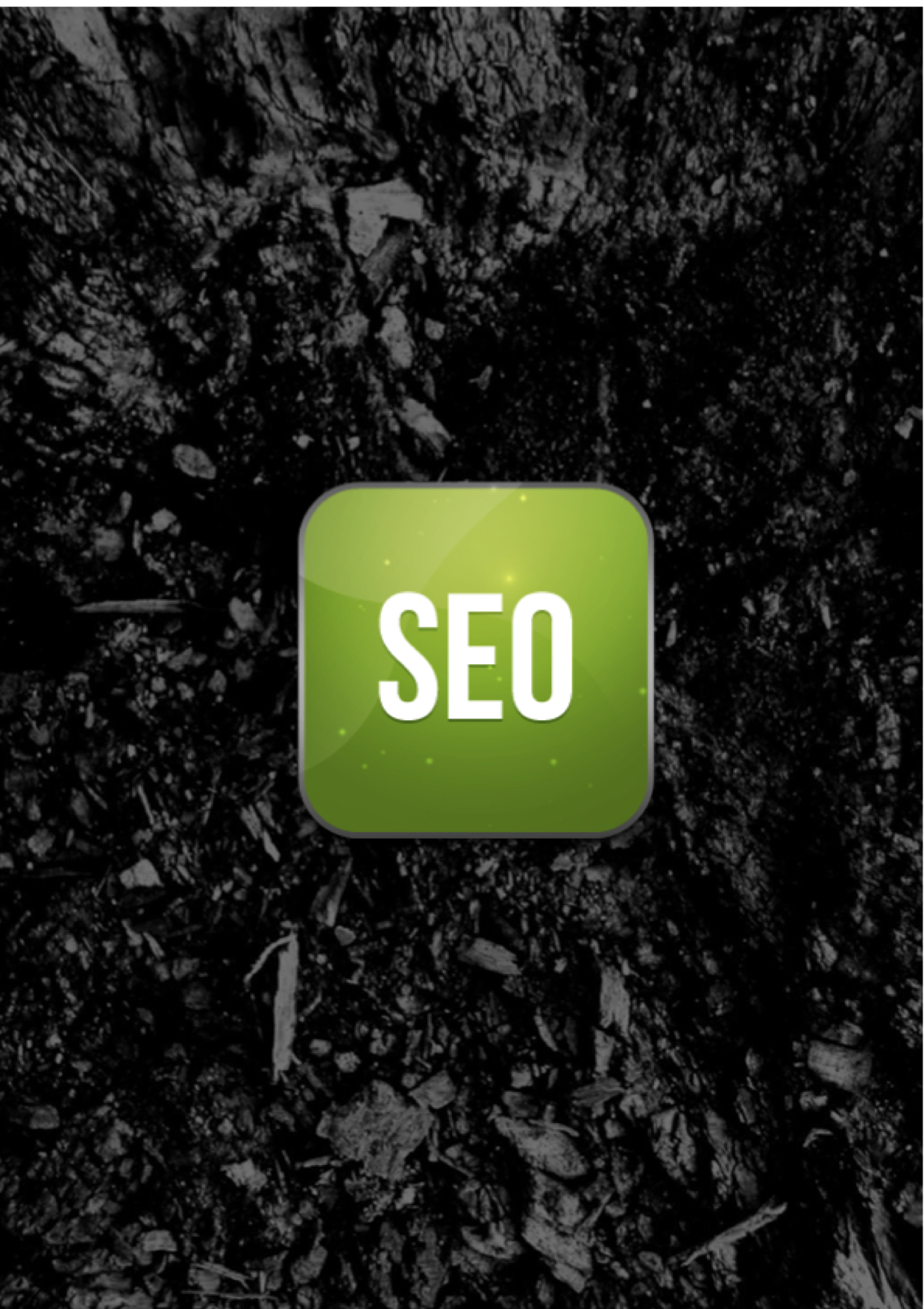 GET BEST SERVICE, SHOOT YOUR SITE RANKINGS HIGH AND FLOURISH YOUR BUSINESS 