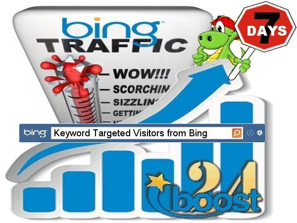 Daily keyword targeted visitors from Bing for 7 days