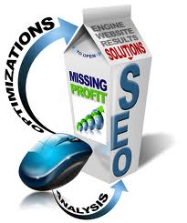 provide you with top of the SEO backlinking, 10 backlinks of pr2 - pr7
