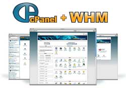 Unlimited WHM Reseller Hosting [Yearly Plan]