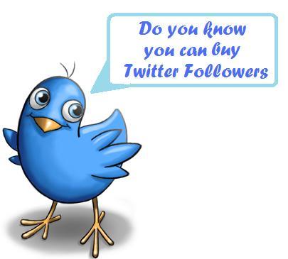 provide you with 100+ Twitter followers who are active in 24 hours or less with no admin access