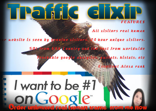 7 months Unlimited Targeted Human Traffic 