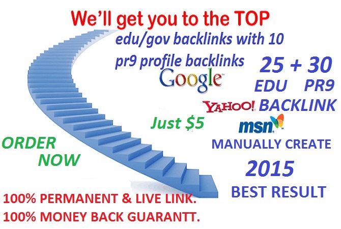 i will create 25 edu/gov  and 30 PR9  profile backlink just 