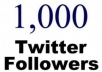  give you 1000 real twitter followers 