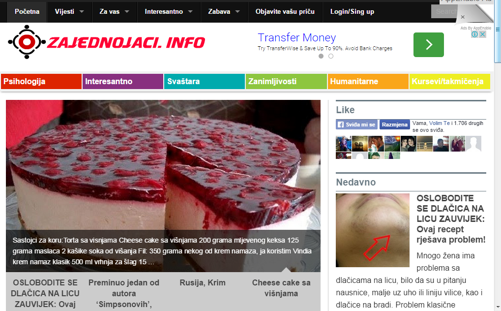 WEB design programmer