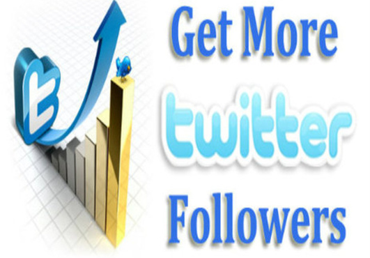 add 32000 twitter follower to your any 2 twitter account within 24 hour 16000x2=32000