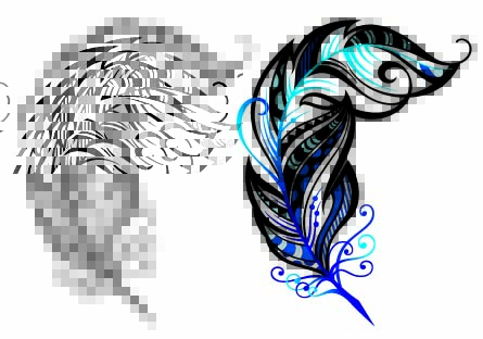 i will give you Tribal Feathers vector