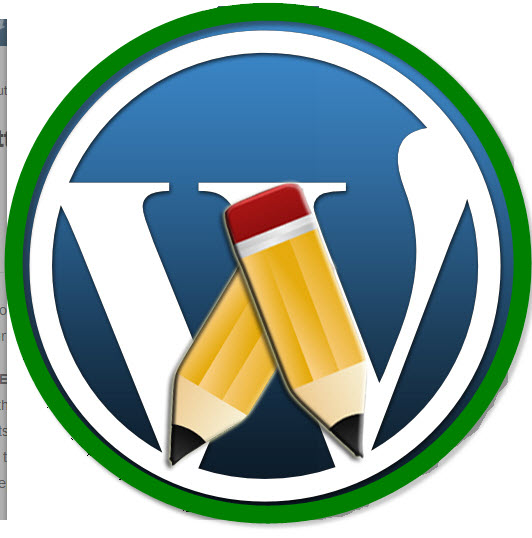 fix WordPress Theme