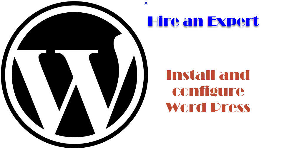 help with setting up Wordpress blog for you