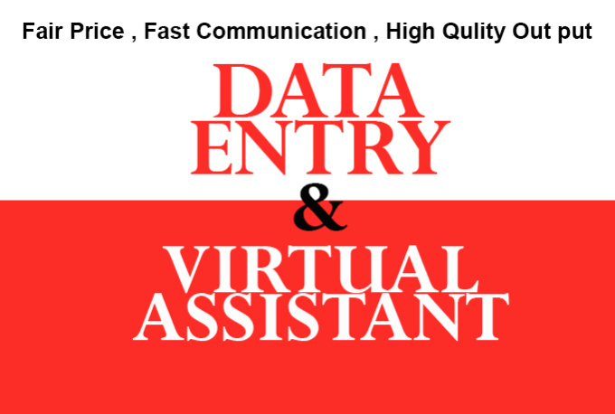 I will do Data Entry and be your Virtual Assistant upto 5 Hours