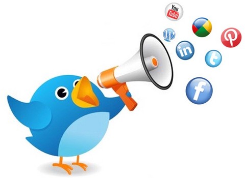 promote your website to OVER 5000 and 10000 real Pinterest and Twitter followers