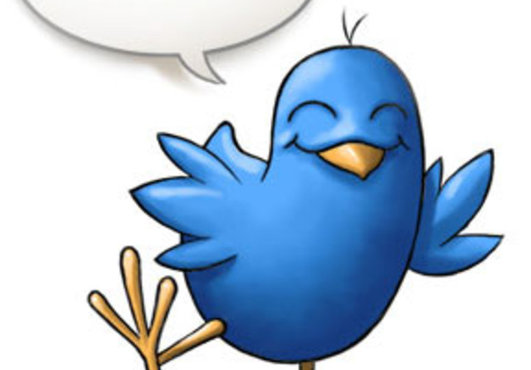 supply you real retweets that is about 100+ and 50+ favorite from twitter active users in 48 hrs