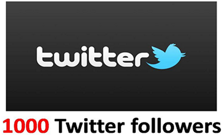Get You 1000+ High Quality Twitter Followers