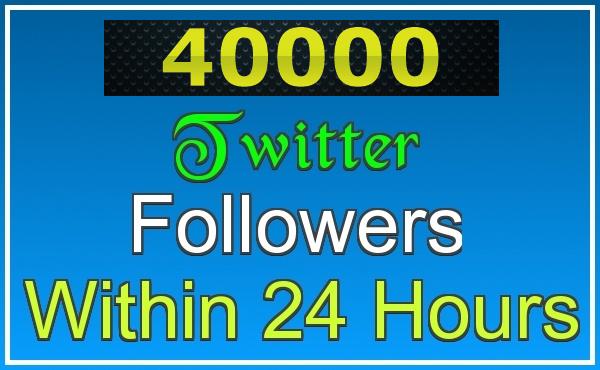 send 40000 twitter follower to your any 2 twitter account within 2 hours 20000x2=40000 
