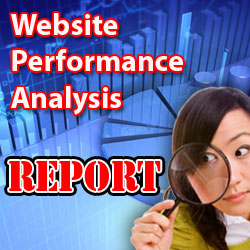 audit your website and give you an A to Z SEO optimization report with over 80 pages just