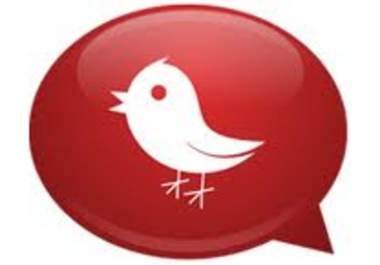 add Guaranteed Real 2,500+ Twitter Followers to your Twitter Account and Clean Your Account from People that are Not Following you back