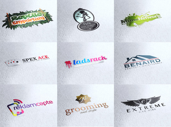 design A colourful and profeesional logo for your websites/business/product 