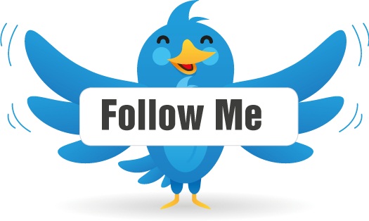 Get You 1000+ High Quality Follower your Twitter Account
