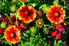 SEO,Link Building,Keyword Research