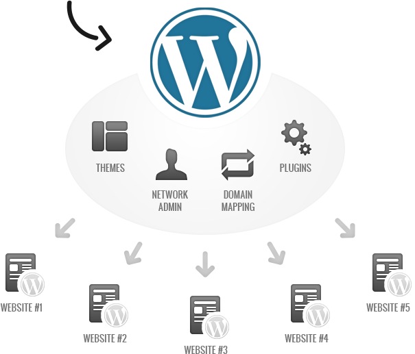 install Wordpress Multisite + Domain Mapping + SEO & Performance Optimization