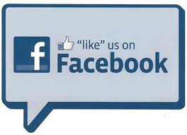 provide you 100 likes any social media  for 30 days