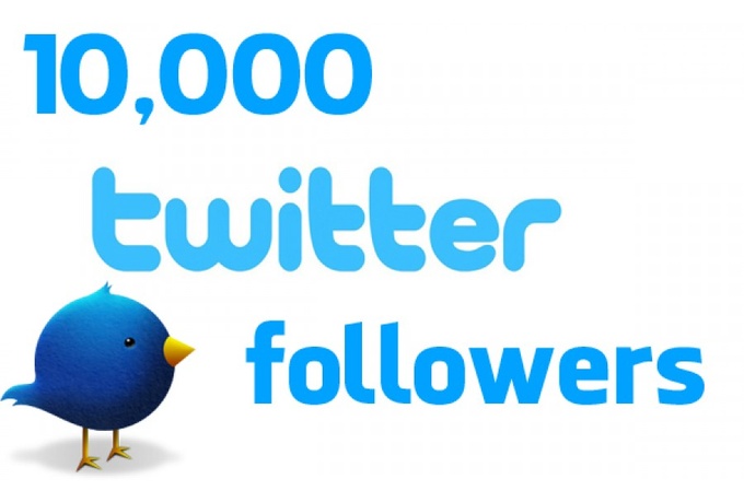 i give 12000+ real looking twitter followers