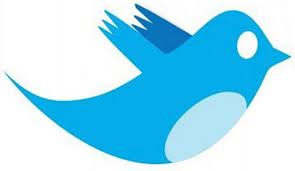 provide 5000 real looking unique TWITTER followers without needing your password