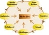 get your website to the first page of Google with this ULTRA link pyramid service only