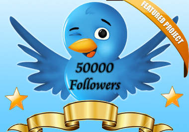 get you 37500+ High Quality Real Looking USA Twitter Followers 