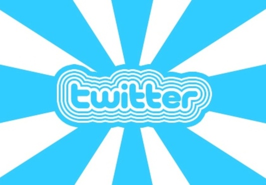  give you 500+++ real permanent USA twitter followers 