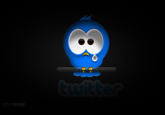 give you 1000+ twitter followers!!!...