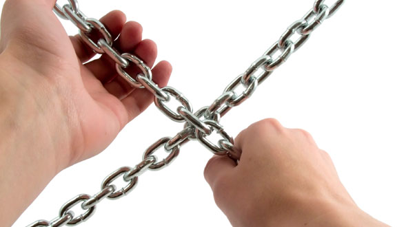 ★build More Than 40000 Seo Verified Live Backlinks For Your Website The Massive Juice For Your Website and Report