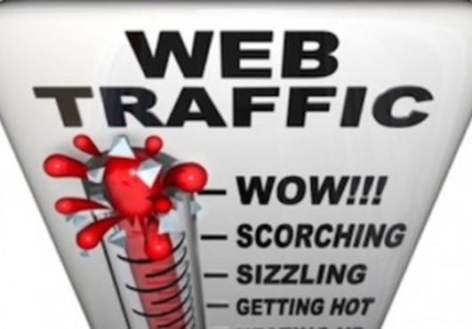 give you unlimited Asian traffic to your url everyday get real human asian traffic increase your traffic today just