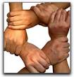 write a high quality, 500 plus word article, that is seo optimized ...!!!!!