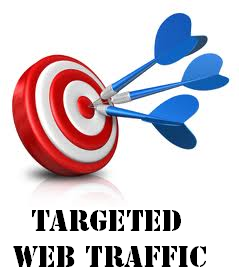 SIX MONTH DAILY REAL ORGANIC Targeted Adult Website Visitors Traffic