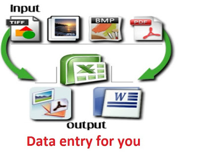 data entry services, PDF to excel or word and copy pa...
